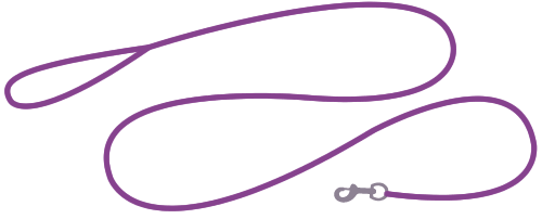 indilines steht für geflochtene Hundeleinen, geknüpfte Halsbänder und Hundegeschirre in Handarbeit hergestellt. Flechtleinen von indilines in Handarbeit hergestellt. Suchen Sie eine individuell geflochtene oder geknüpfte Hundeleine, Halsband oder Hundegeschirr? Eine Hundeleine soll 2 m oder 3 m lang sein oder eine Handschlaufe haben?