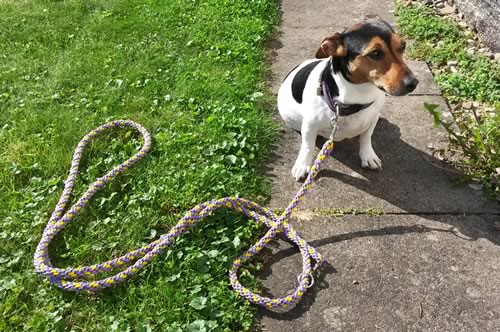 indilines steht für geflochtene Hundeleinen, geknüpfte Halsbänder und Hundegeschirre in Handarbeit hergestellt. Flechtleinen von indilines in Handarbeit hergestellt. Suchen Sie eine individuell geflochtene oder geknüpfte Hundeleine, Halsband oder Hundegeschirr? Eine Hundeleine soll 2 m oder 3 m lang sein oder eine Handschlaufe haben?