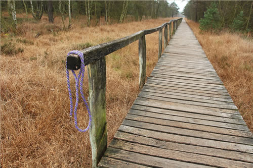 Flechtleinen von indilines in Handarbeit hergestellt. Suchen Sie eine individuell geflochtene oder geknpfte Hundeleine, Halsband oder Hundegeschirr? Eine Hundeleine soll 2 m oder 3 m lang sein oder eine Handschlaufe haben?