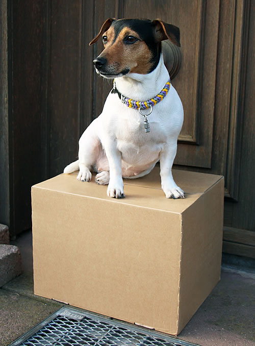 indilines steht für geflochtene Hundeleinen, geknüpfte Halsbänder und Hundegeschirre in Handarbeit hergestellt. Flechtleinen von indilines in Handarbeit hergestellt. Suchen Sie eine individuell geflochtene oder geknüpfte Hundeleine, Halsband oder Hundegeschirr? Eine Hundeleine soll 2 m oder 3 m lang sein oder eine Handschlaufe haben?