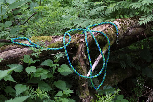 Flechtleinen von indilines in Handarbeit hergestellt. Suchen Sie eine individuell geflochtene oder geknpfte Hundeleine, Halsband oder Hundegeschirr? Eine Hundeleine soll 2 m oder 3 m lang sein oder eine Handschlaufe haben?