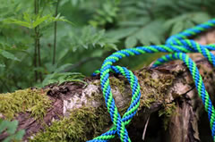 Flechtleinen von indilines in Handarbeit hergestellt. Suchen Sie eine individuell geflochtene oder geknpfte Hundeleine, Halsband oder Hundegeschirr? Eine Hundeleine soll 2 m oder 3 m lang sein oder eine Handschlaufe haben?