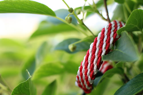 Flechtleinen von indilines in Handarbeit hergestellt. Suchen Sie eine individuell geflochtene oder geknpfte Hundeleine, Halsband oder Hundegeschirr? Eine Hundeleine soll 2 m oder 3 m lang sein oder eine Handschlaufe haben?