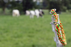 Flechtleinen von indilines in Handarbeit hergestellt. Suchen Sie eine individuell geflochtene oder geknpfte Hundeleine, Halsband oder Hundegeschirr? Eine Hundeleine soll 2 m oder 3 m lang sein oder eine Handschlaufe haben?