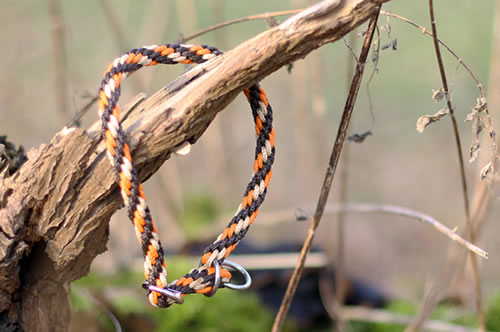 Flechtleinen von indilines in Handarbeit hergestellt. Suchen Sie eine individuell geflochtene oder geknpfte Hundeleine, Halsband oder Hundegeschirr? Eine Hundeleine soll 2 m oder 3 m lang sein oder eine Handschlaufe haben?