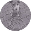 Flechtleinen von indilines in Handarbeit hergestellt. Suchen Sie eine individuell geflochtene oder geknpfte Hundeleine, Halsband oder Hundegeschirr? Eine Hundeleine soll 2 m oder 3 m lang sein oder eine Handschlaufe haben?