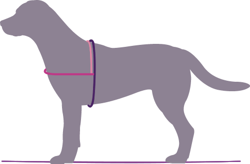 indilines steht für geflochtene Hundeleinen, geknüpfte Halsbänder und Hundegeschirre in Handarbeit hergestellt. Flechtleinen von indilines in Handarbeit hergestellt. Suchen Sie eine individuell geflochtene oder geknüpfte Hundeleine, Halsband oder Hundegeschirr? Eine Hundeleine soll 2 m oder 3 m lang sein oder eine Handschlaufe haben?