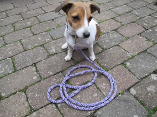 indilines steht für geflochtene Hundeleinen, geknüpfte Halsbänder und Hundegeschirre in Handarbeit hergestellt. Flechtleinen von indilines in Handarbeit hergestellt. Suchen Sie eine individuell geflochtene oder geknüpfte Hundeleine, Halsband oder Hundegeschirr? Eine Hundeleine soll 2 m oder 3 m lang sein oder eine Handschlaufe haben?