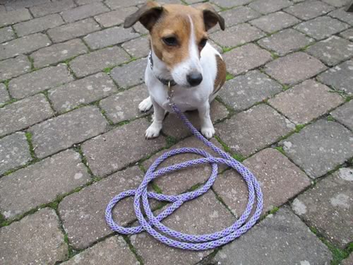 Flechtleinen von indilines in Handarbeit hergestellt. Suchen Sie eine individuell geflochtene oder geknpfte Hundeleine, Halsband oder Hundegeschirr? Eine Hundeleine soll 2 m oder 3 m lang sein oder eine Handschlaufe haben?